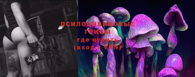 Галлюциногенные грибы MAGIC MUSHROOMS  Десногорск 